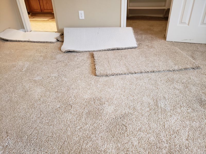 Carpet Foam Replacement in Littleton, CO