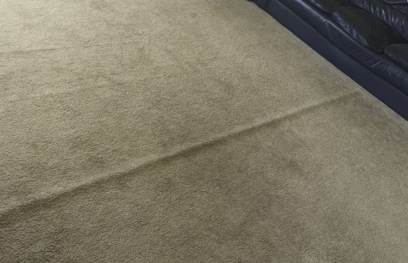 Commercial Carpet Repair in Littleton, CO