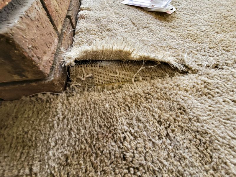 Pet Stain Carpet Repair in Littleton, CO